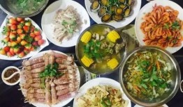 最新新康饭菜爆料事件真相,真相揭露与反思